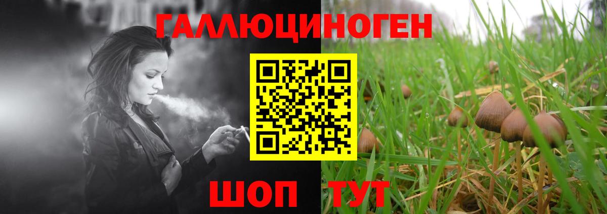 Псилоцибиновые грибы MAGIC MUSHROOMS Новочеркасск